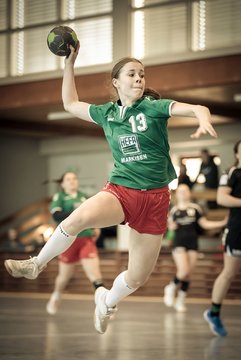 Bild 145 - F HSG Kre/Mue - HFF Munkbrarup : Ergebnis: 49:20